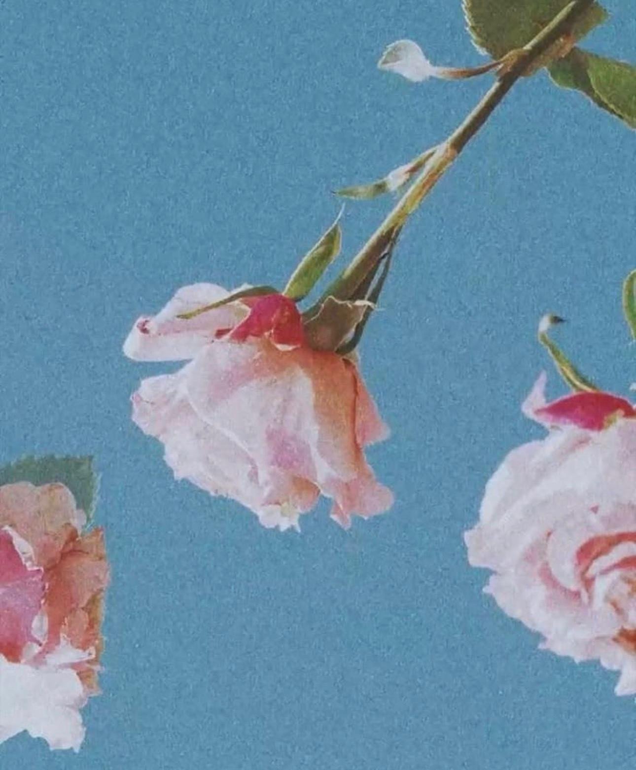 Investor Image Missing